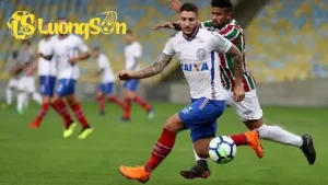 nhan dinh du doan bahia vs flumi 68bfe6c46427e