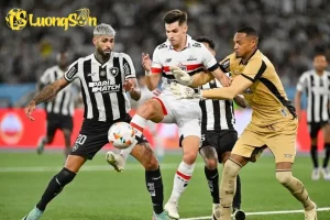 sao paulo vs botafogo prediction 68c3eeef41379