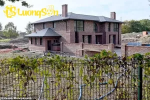 102929877 15185995 image a 27 17 68ecbdea6adaa