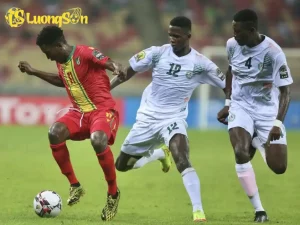 248 23 68e32d2449813