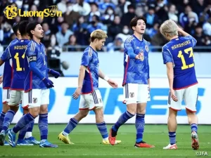 659381df f138 459c 8902 7678d3093d95 151505