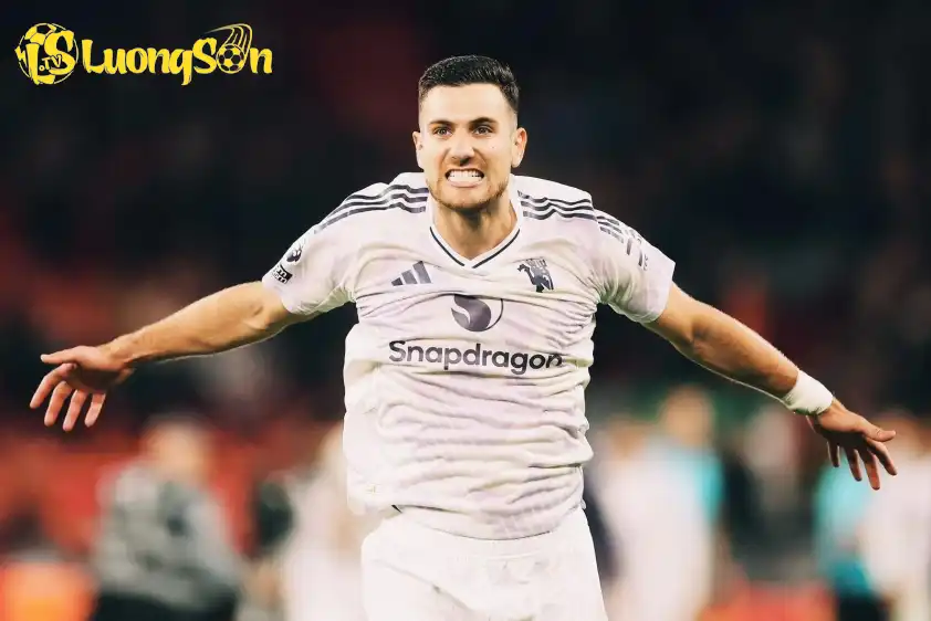 Amorim có loại Dalot?