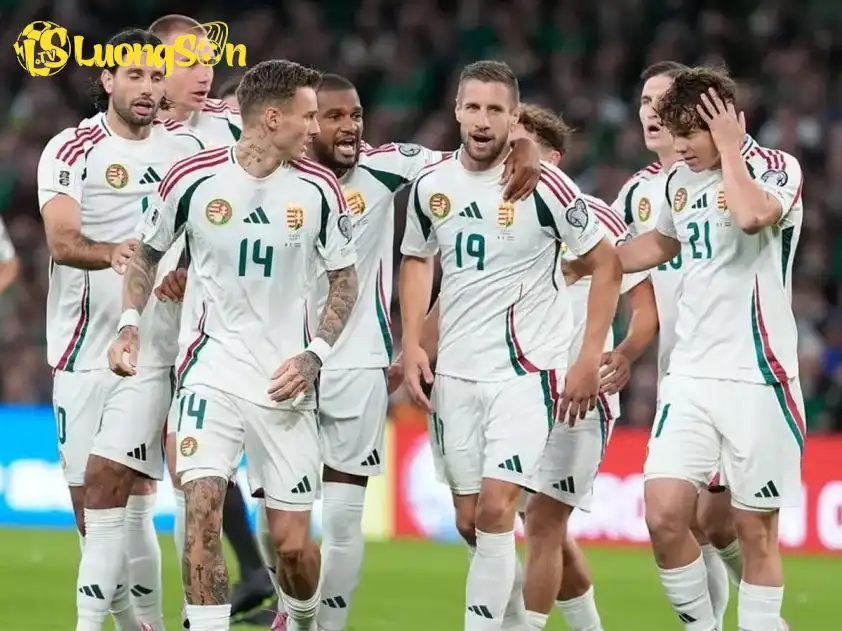 Hungary quyết tâm để có được tấm vé dự World Cup Hungary quyết tâm để có được tấm vé dự World Cup