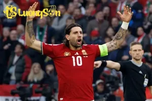 imagesvoltaxmedialibrarymmsports 1 691d52f7c3434