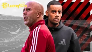 q75w1200formatauto 6922b018ae7ae